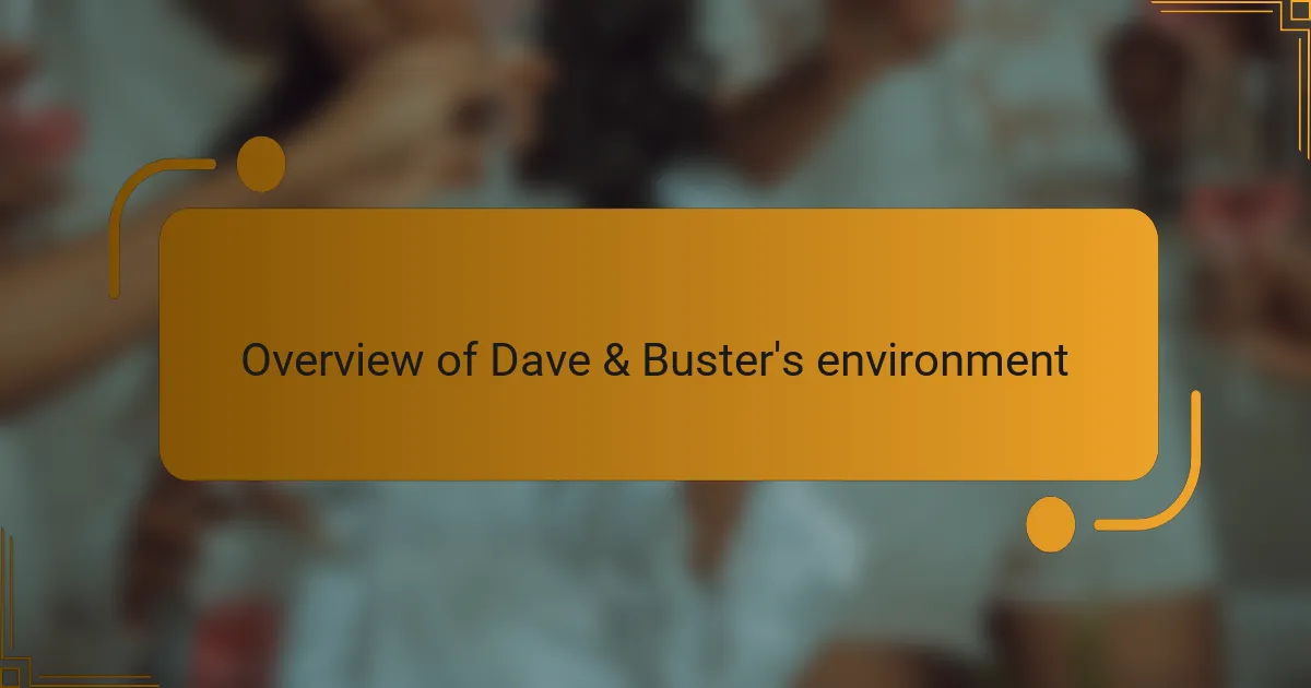 Overview of Dave & Buster's environment