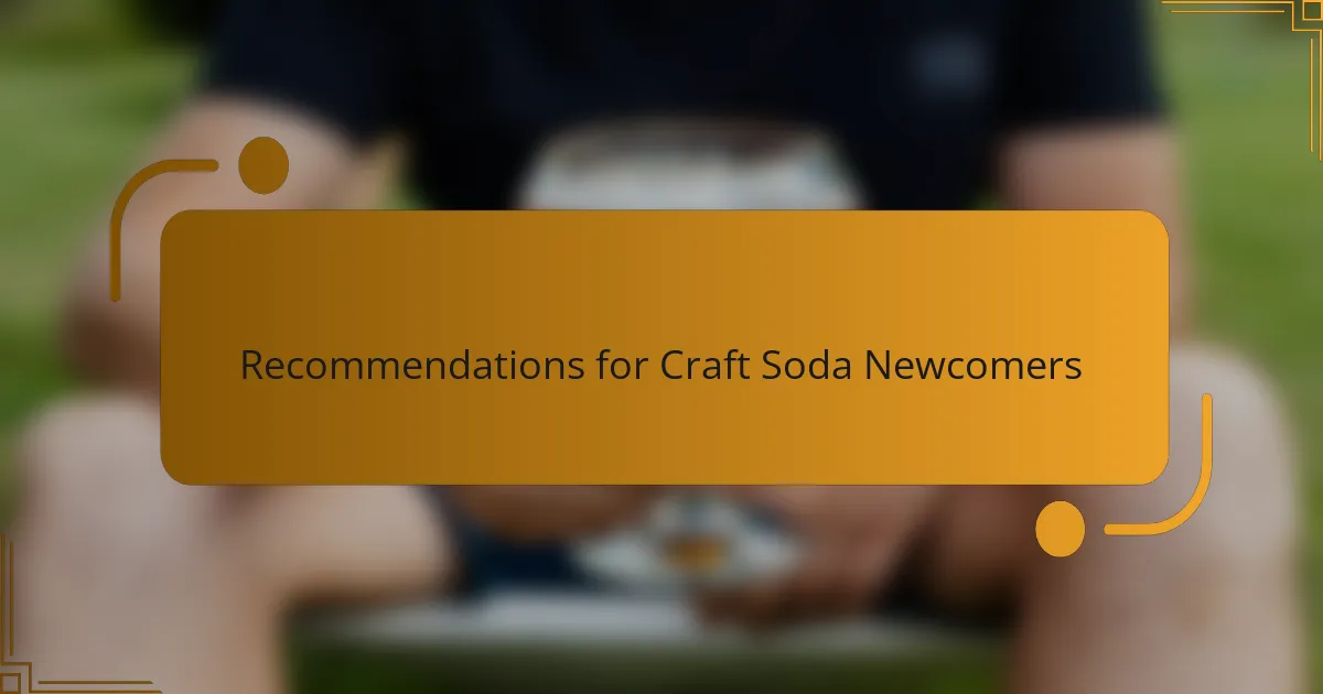 Recommendations for Craft Soda Newcomers